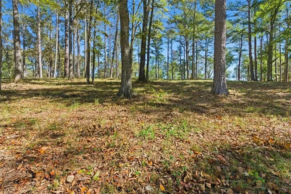 0 Cave Spring Road Cedartown, GA 30125