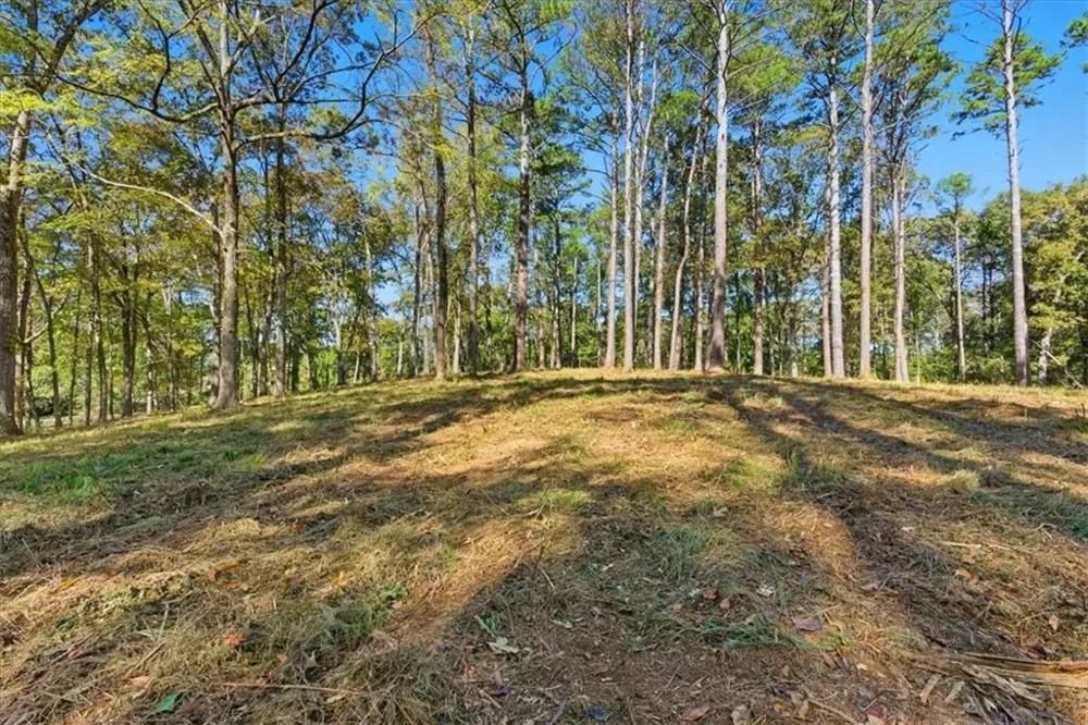 0 Cave Spring Road Cedartown, GA 30125