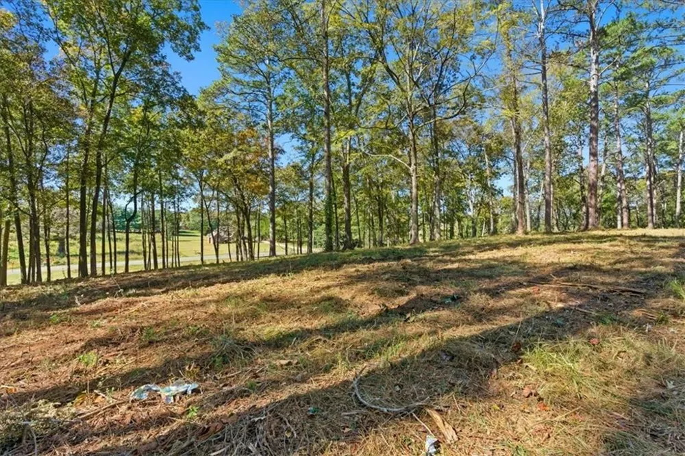 0 Cave Spring Road Cedartown, GA 30125