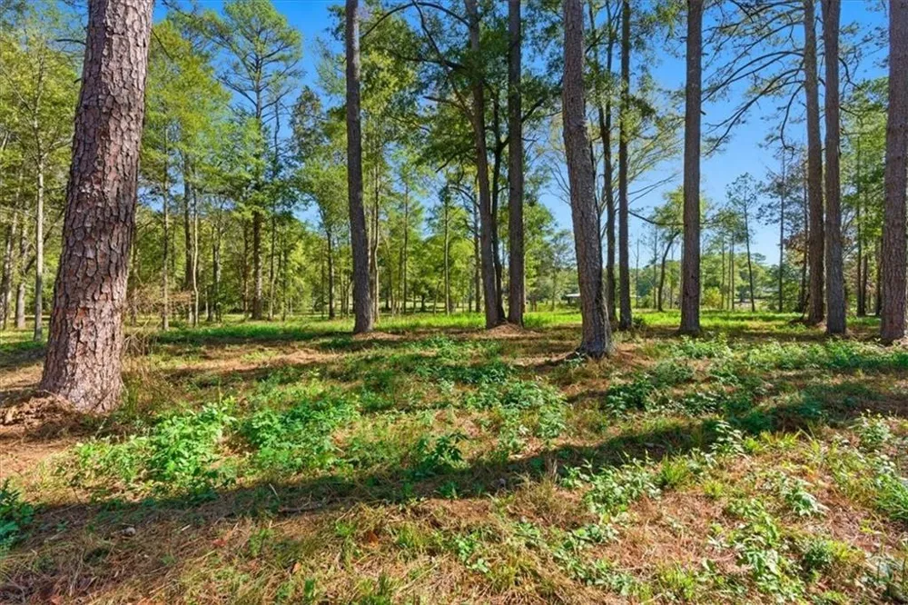 0 Cave Spring Road Cedartown, GA 30125