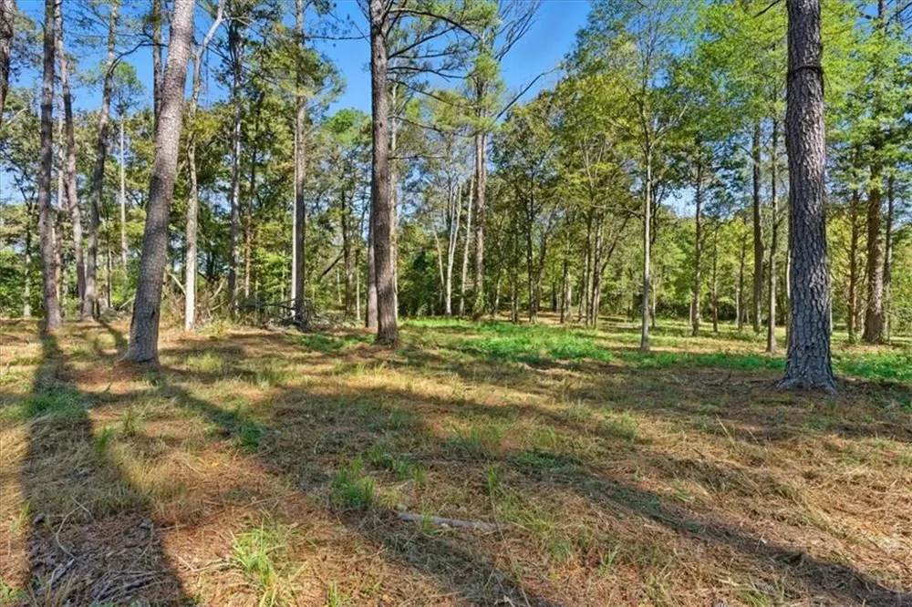 0 Cave Spring Road Cedartown, GA 30125
