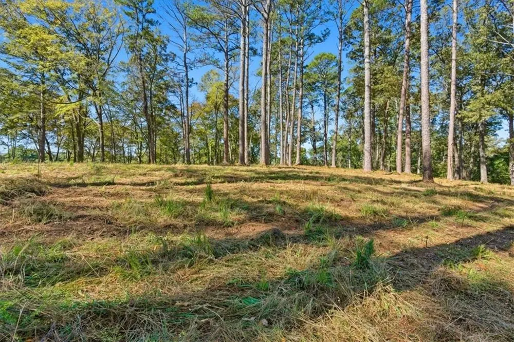 0 Cave Spring Road Cedartown, GA 30125