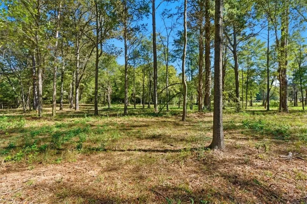 0 Cave Spring Road Cedartown, GA 30125