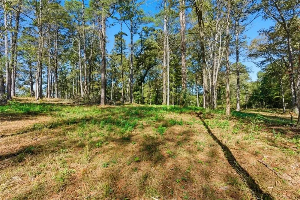 0 Cave Spring Road Cedartown, GA 30125