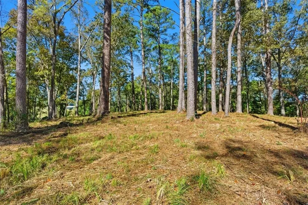 0 Cave Spring Road Cedartown, GA 30125