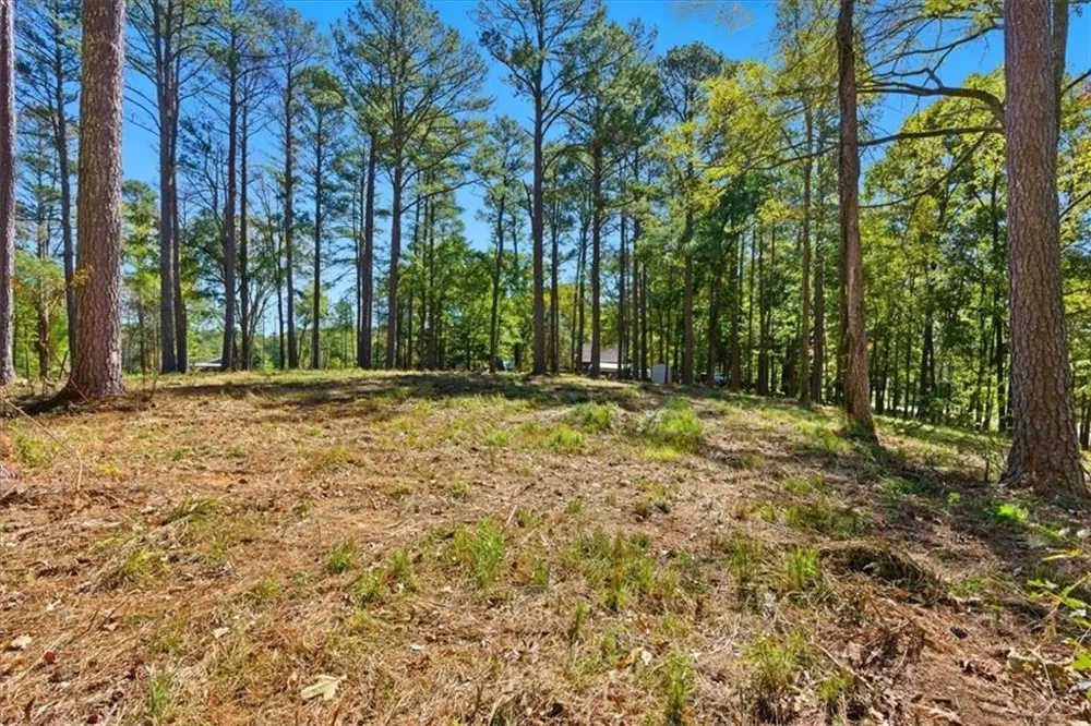 0 Cave Spring Road Cedartown, GA 30125