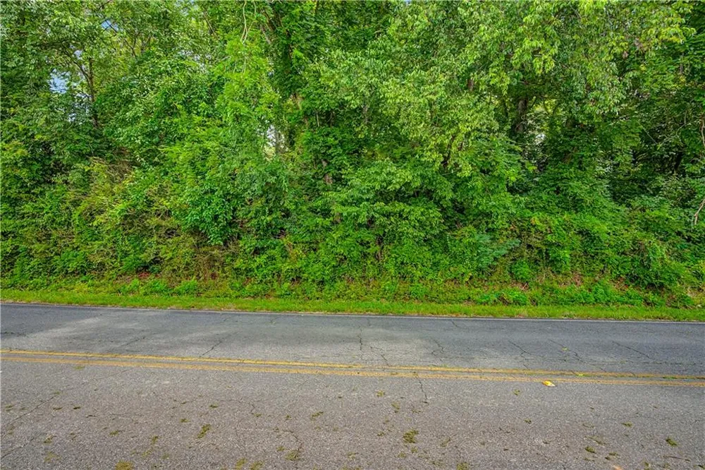 0 Cave Spring Road Cedartown, GA 30125