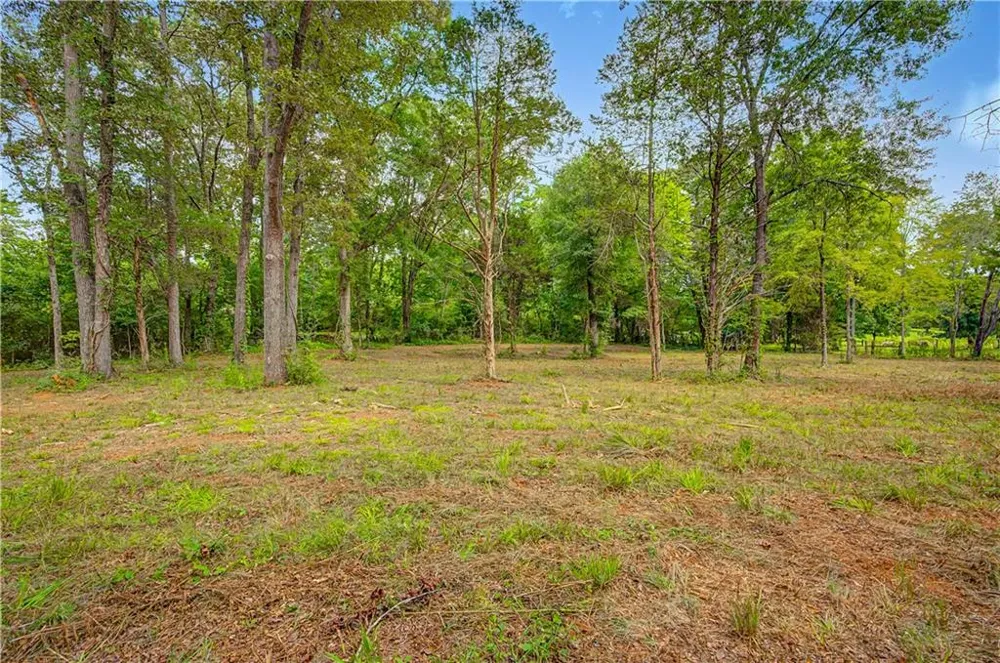 0 Cave Spring Road Cedartown, GA 30125
