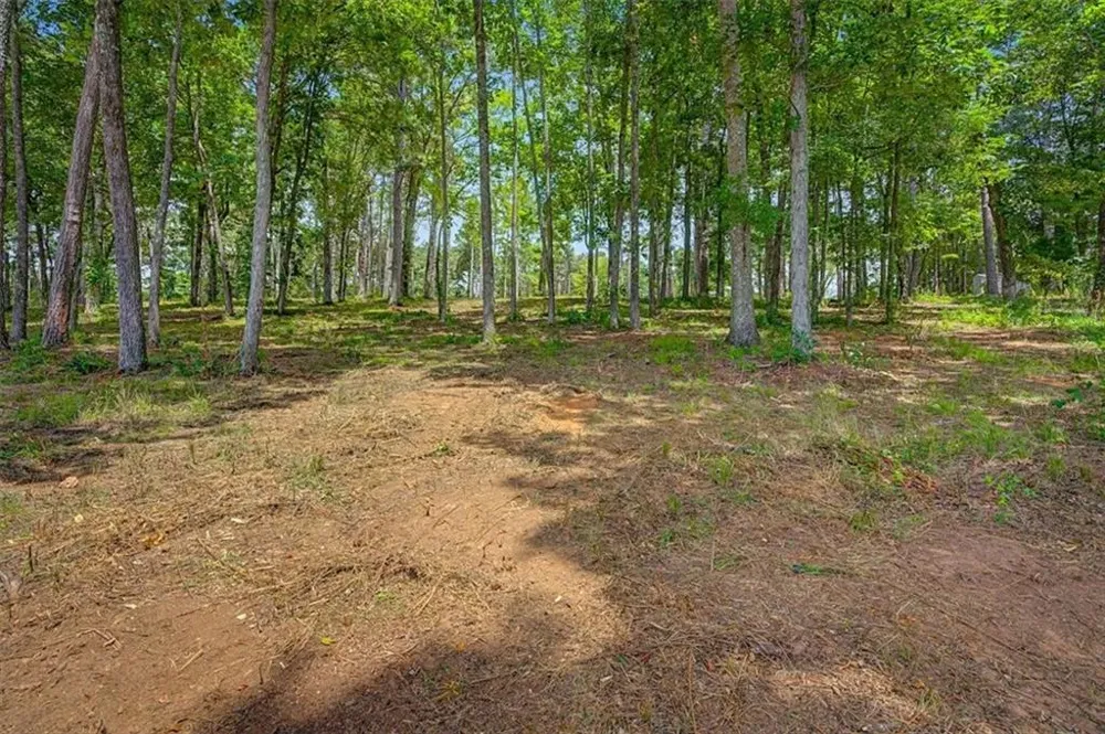 0 Cave Spring Road Cedartown, GA 30125