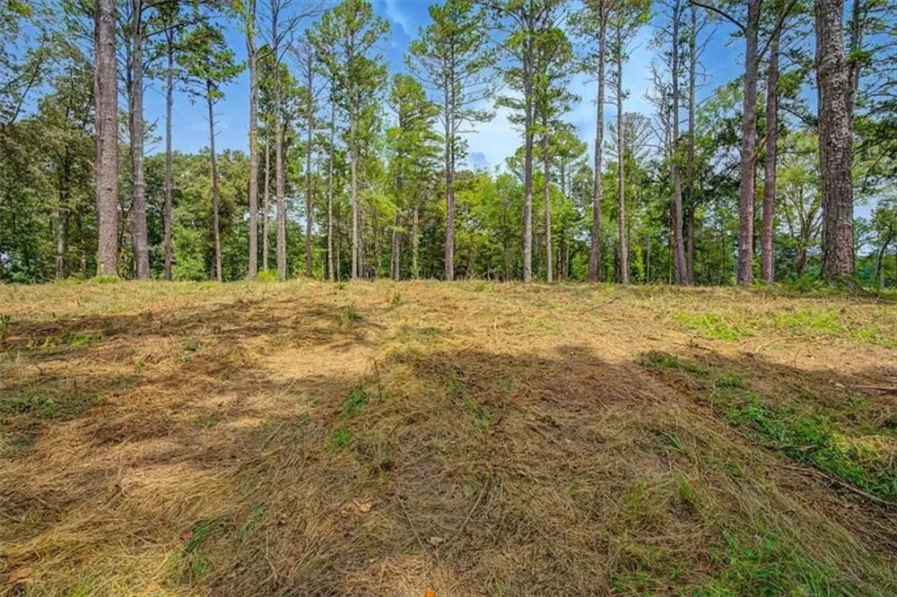 0 Cave Spring Road Cedartown, GA 30125