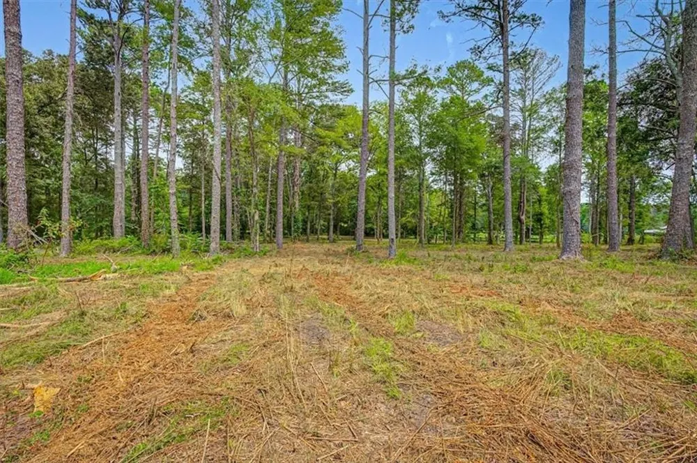 0 Cave Spring Road Cedartown, GA 30125