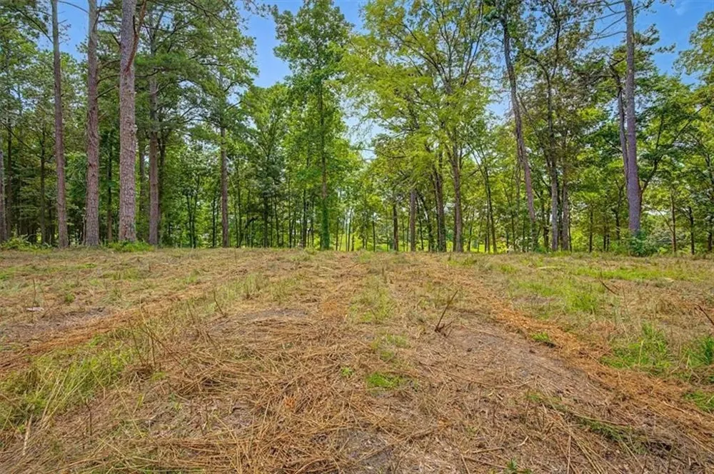 0 Cave Spring Road Cedartown, GA 30125