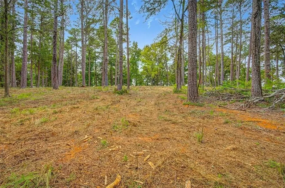 0 Cave Spring Road Cedartown, GA 30125