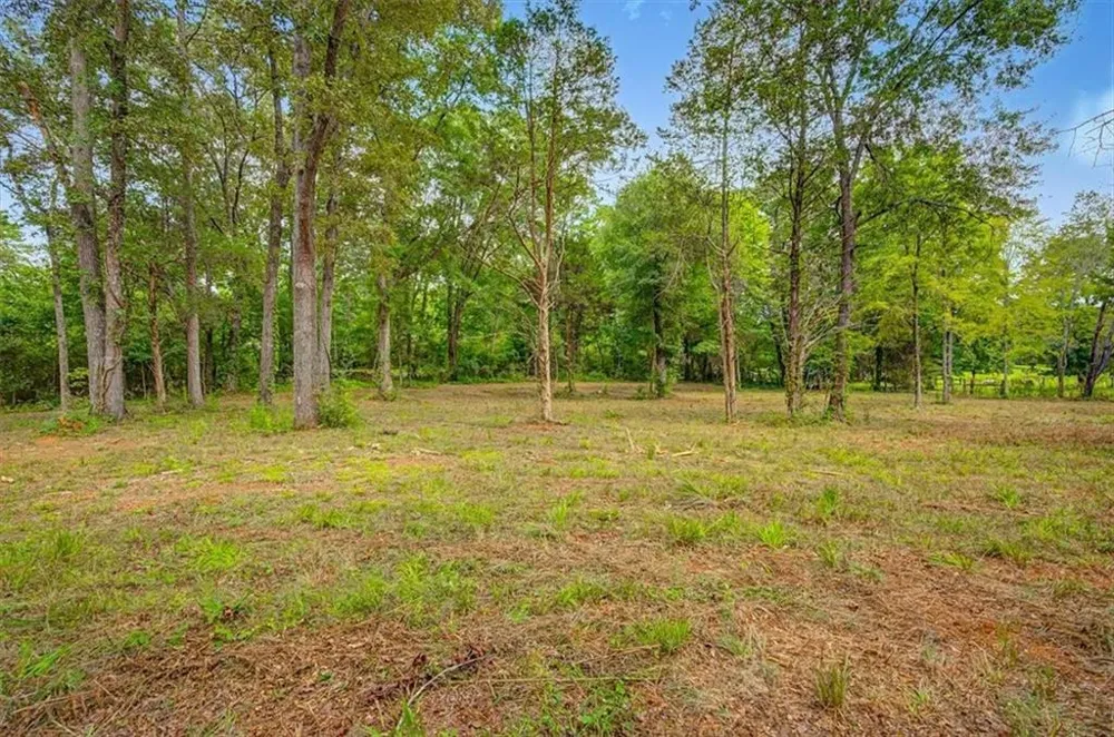 0 Cave Spring Road Cedartown, GA 30125
