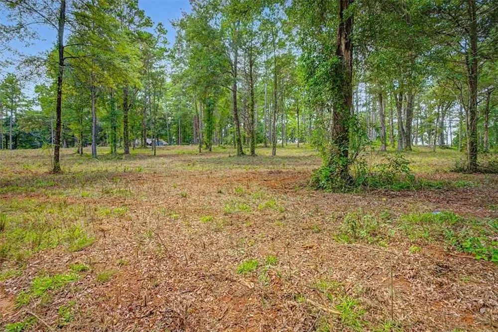 0 Cave Spring Road Cedartown, GA 30125