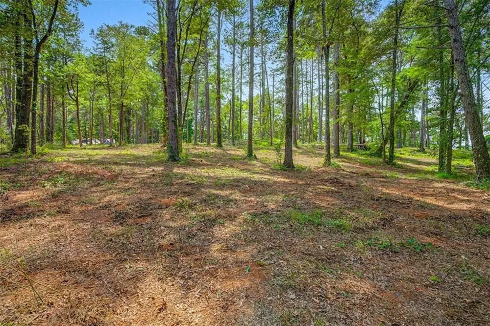 0 Cave Spring Road Cedartown, GA 30125