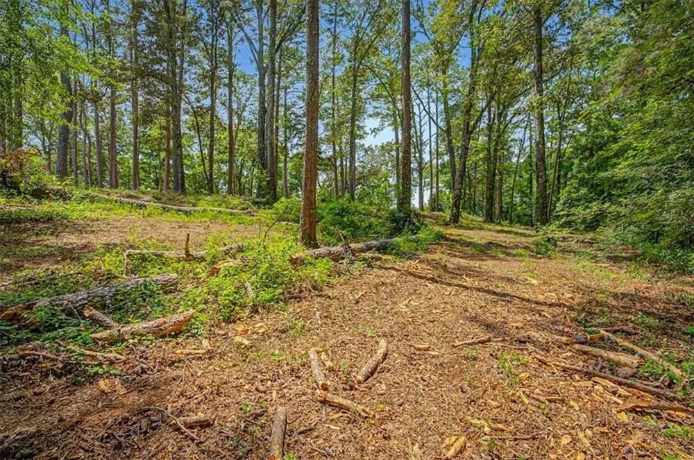 0 Cave Spring Road Cedartown, GA 30125