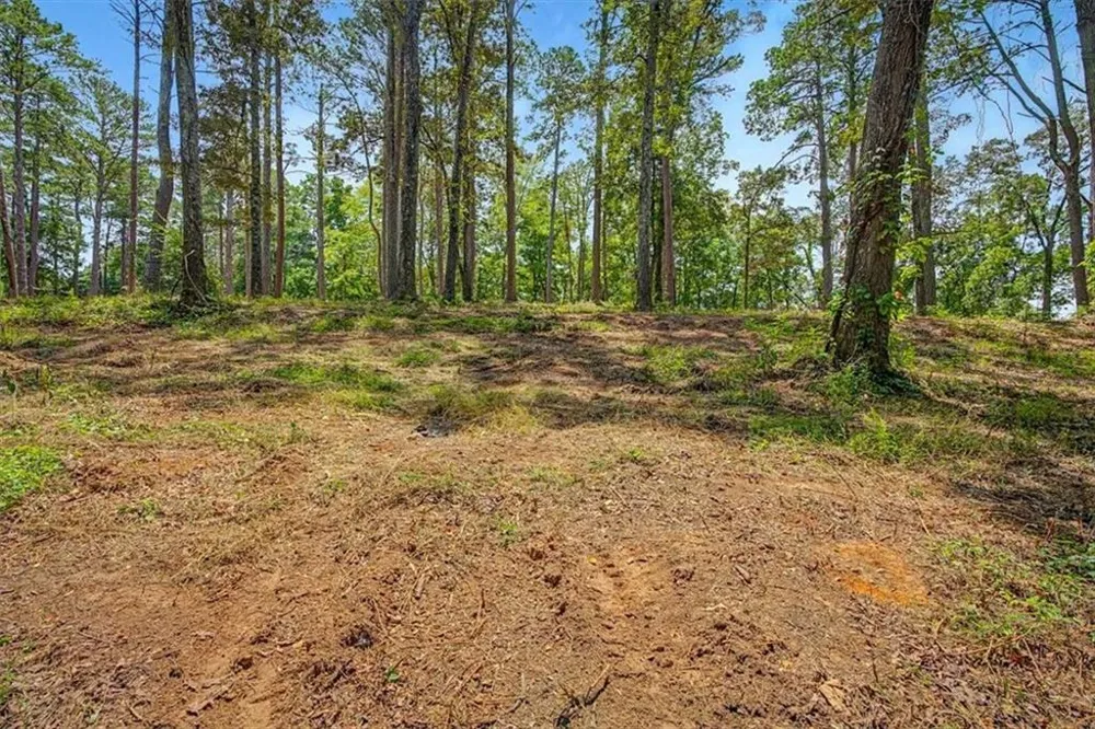 0 Cave Spring Road Cedartown, GA 30125