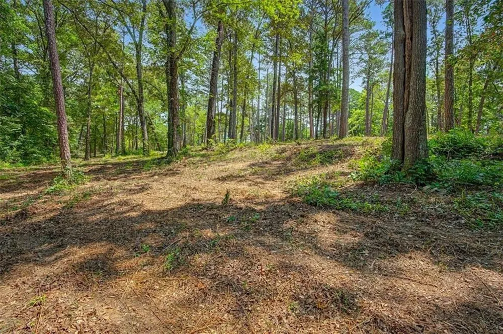 0 Cave Spring Road Cedartown, GA 30125