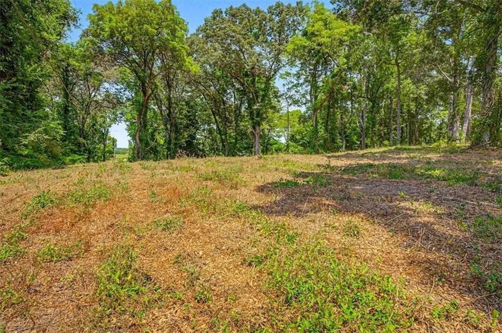 0 Cave Spring Road Cedartown, GA 30125