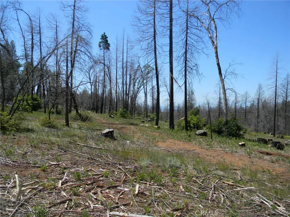 264 Resources Lane Chico, CA 95973