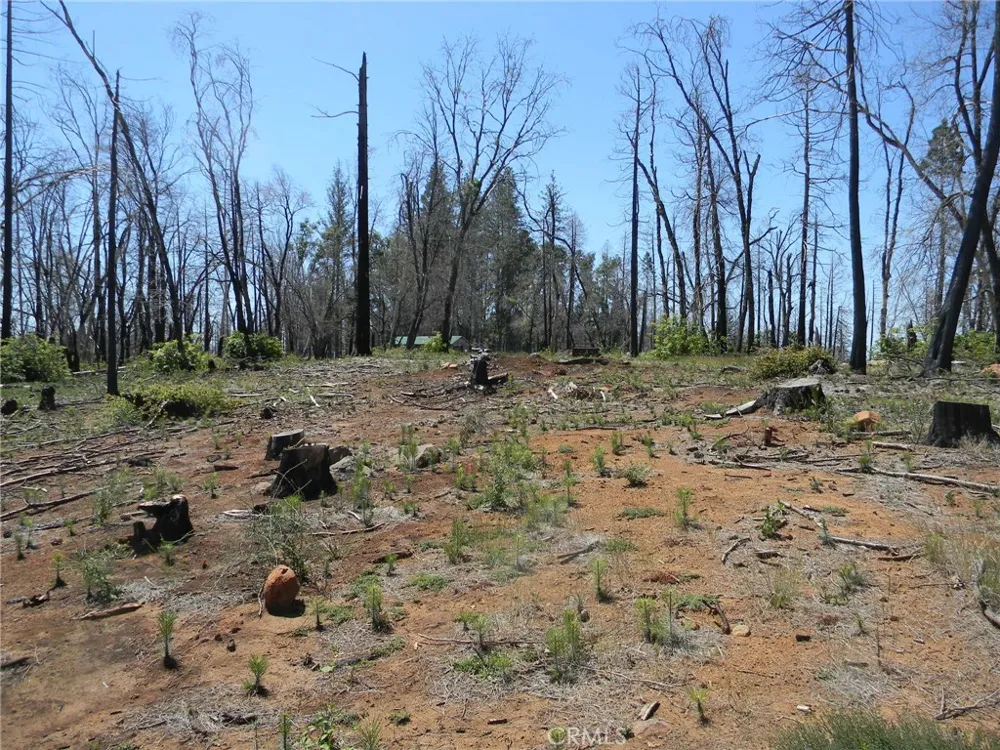264 Resources Lane Chico, CA 95973