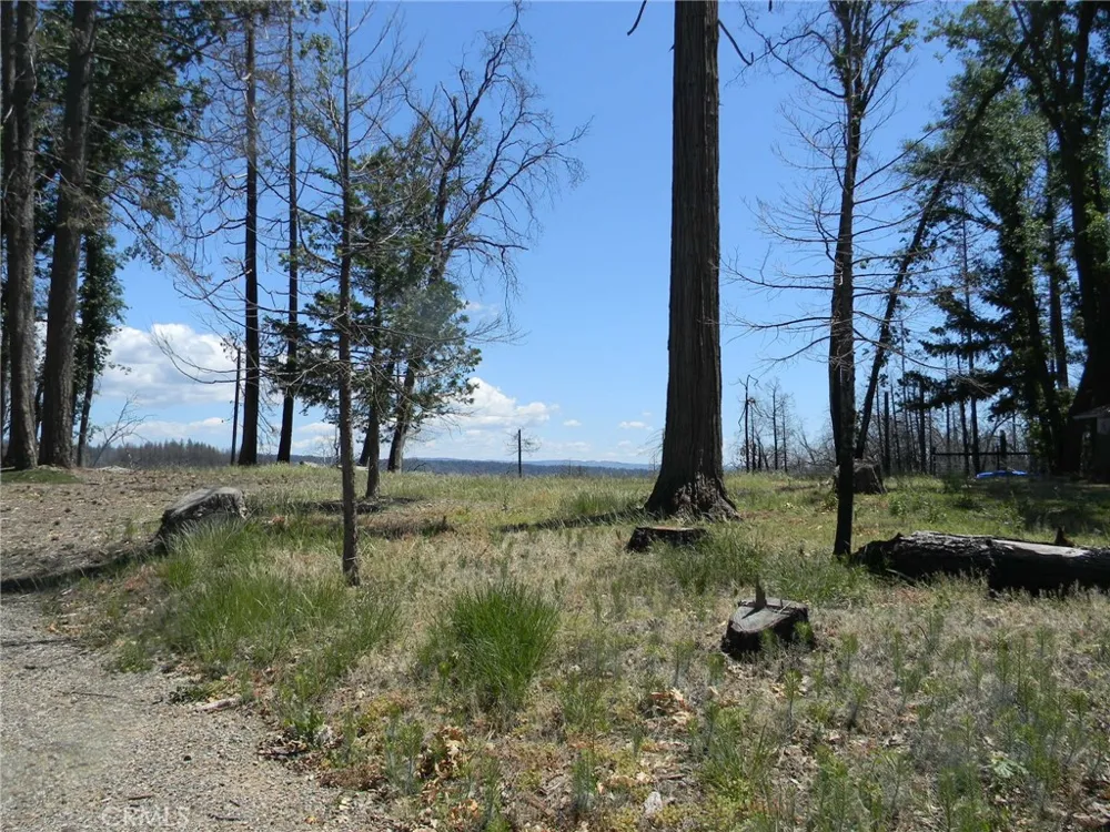 264 Resources Lane Chico, CA 95973