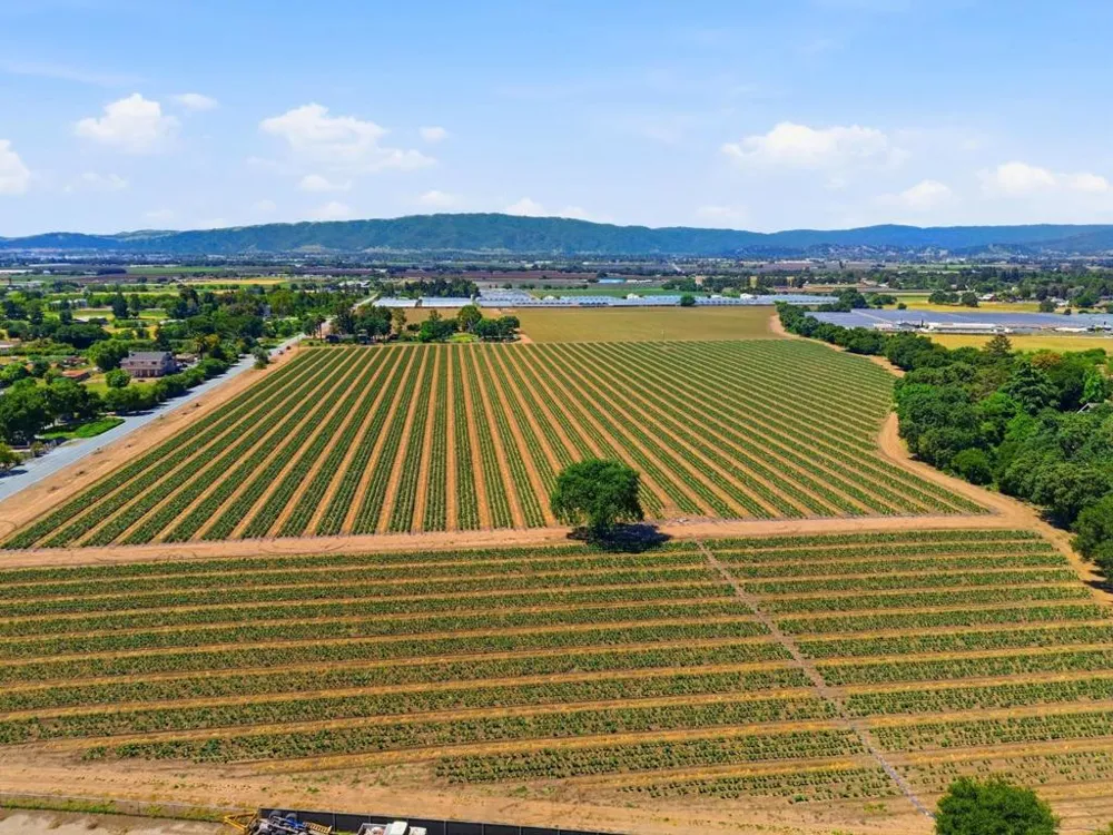 Leavesley Road Gilroy, CA 95020