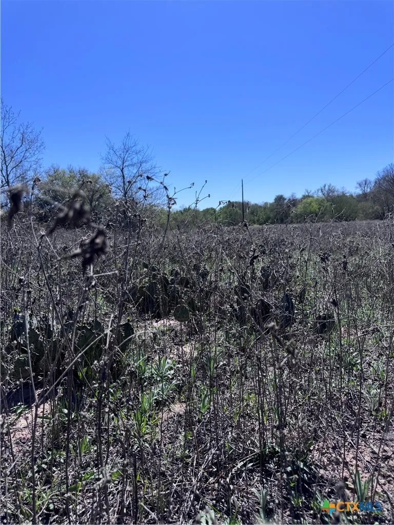 3775 BAKER ROAD Kingsbury, TX 78638