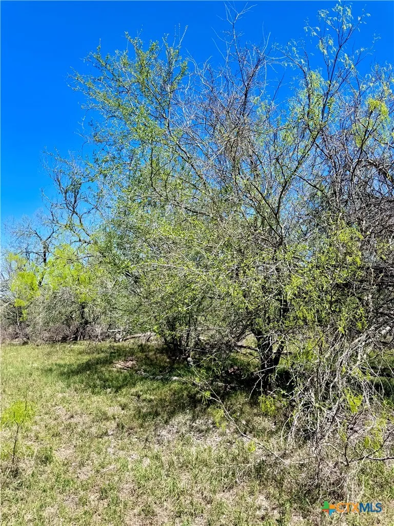 3775 BAKER ROAD Kingsbury, TX 78638