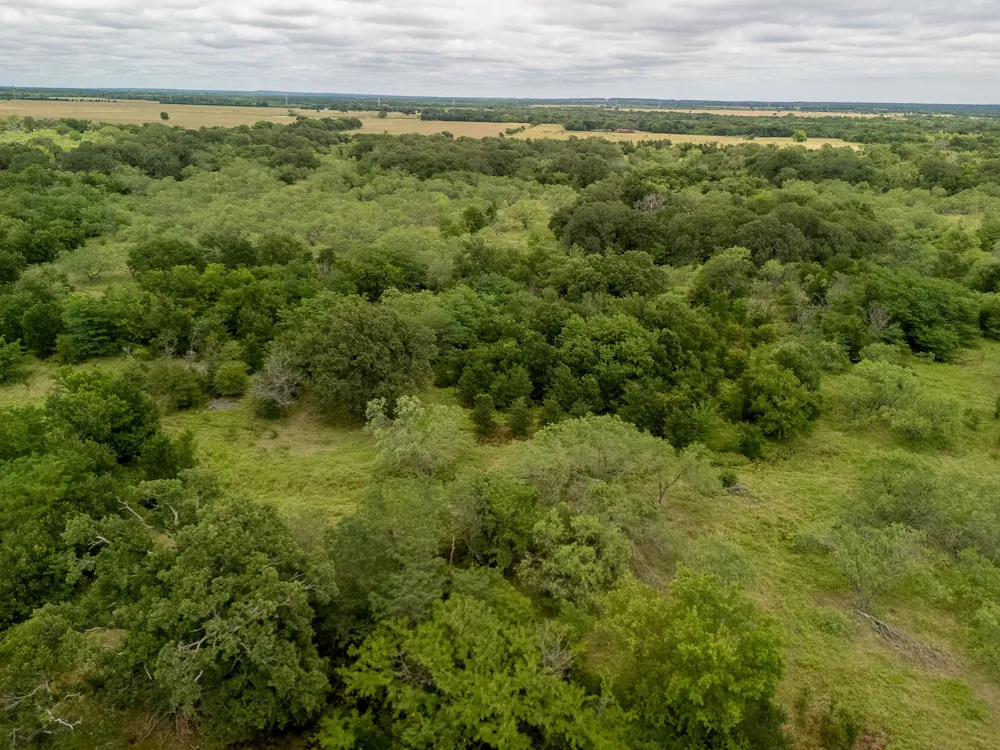 County Road 159 Riesel, TX 76682