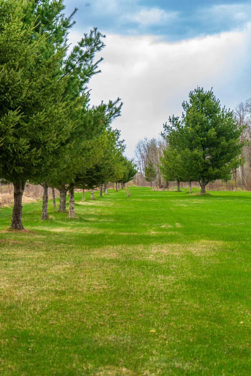 33071 Holly Road Pine City, MN 55063
