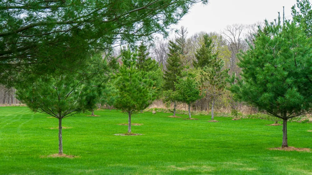 33071 Holly Road Pine City, MN 55063