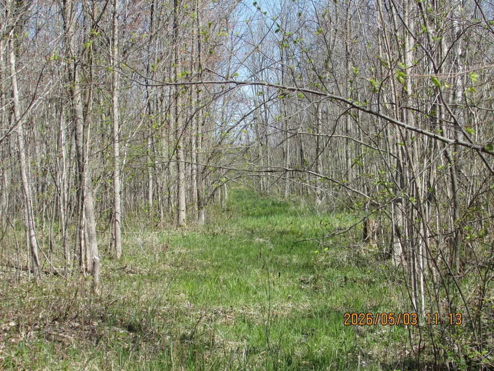 33071 Holly Road Pine City, MN 55063