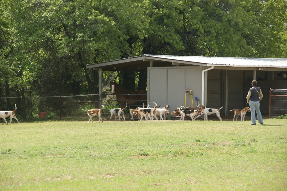 194 Private Road 4663 Boyd, TX 76023