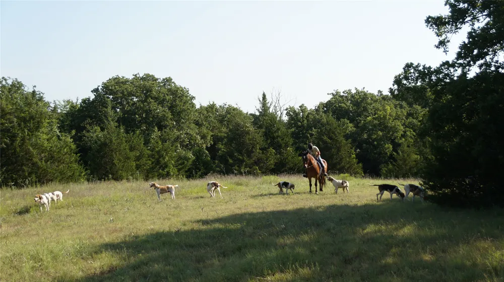 194 Private Road 4663 Boyd, TX 76023