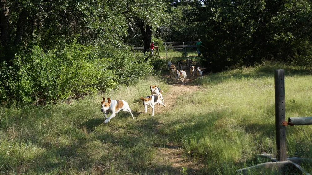 194 Private Road 4663 Boyd, TX 76023