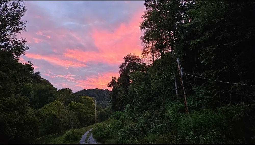 140 Carver Hollow Rd Pleasant Shade, TN 37145