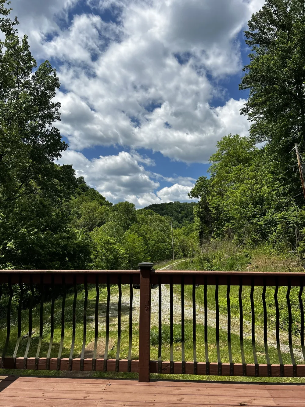 140 Carver Hollow Rd Pleasant Shade, TN 37145