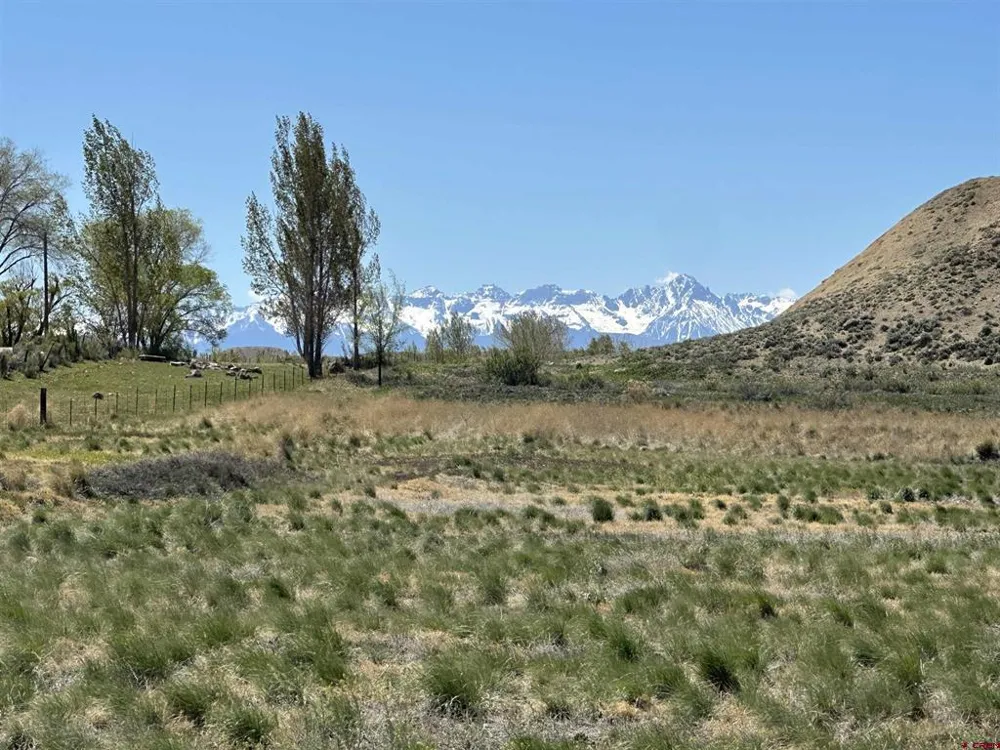 E Oak Grove Road Montrose, CO 81401