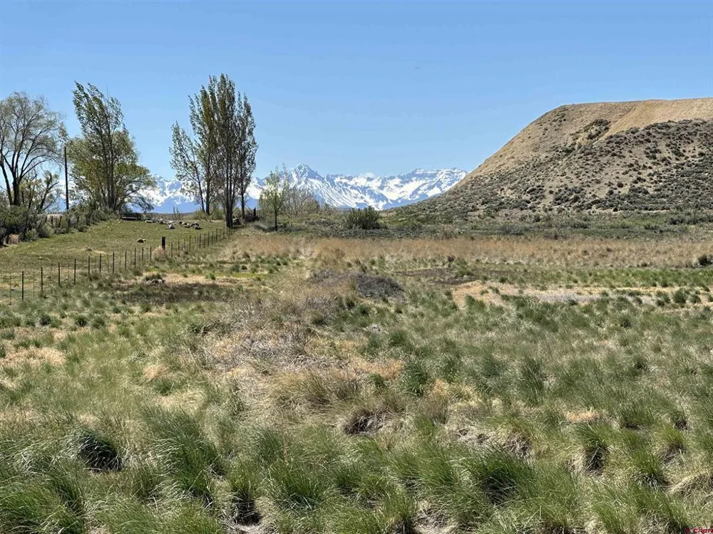 E Oak Grove Road Montrose, CO 81401