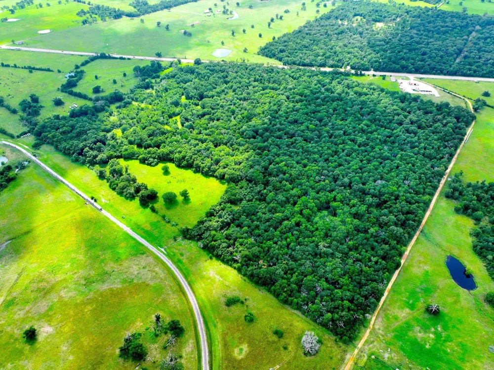 Us 79 Oakwood, TX 75855