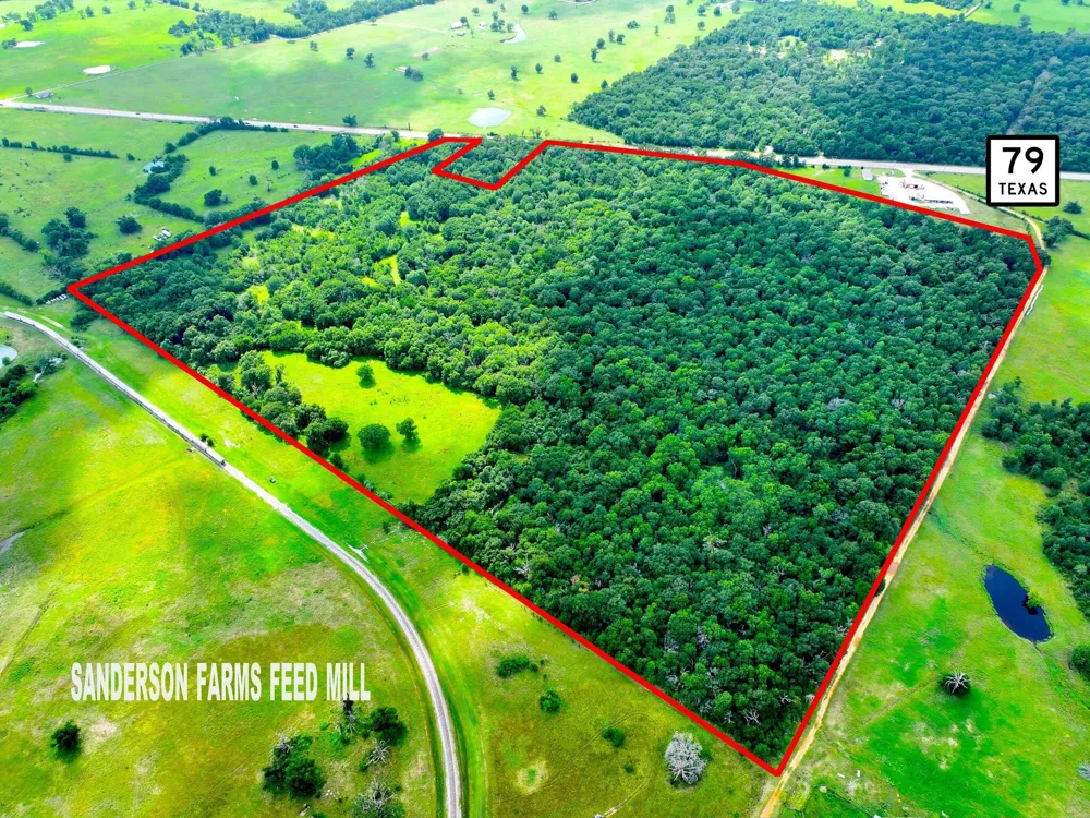 Us 79 Oakwood, TX 75855