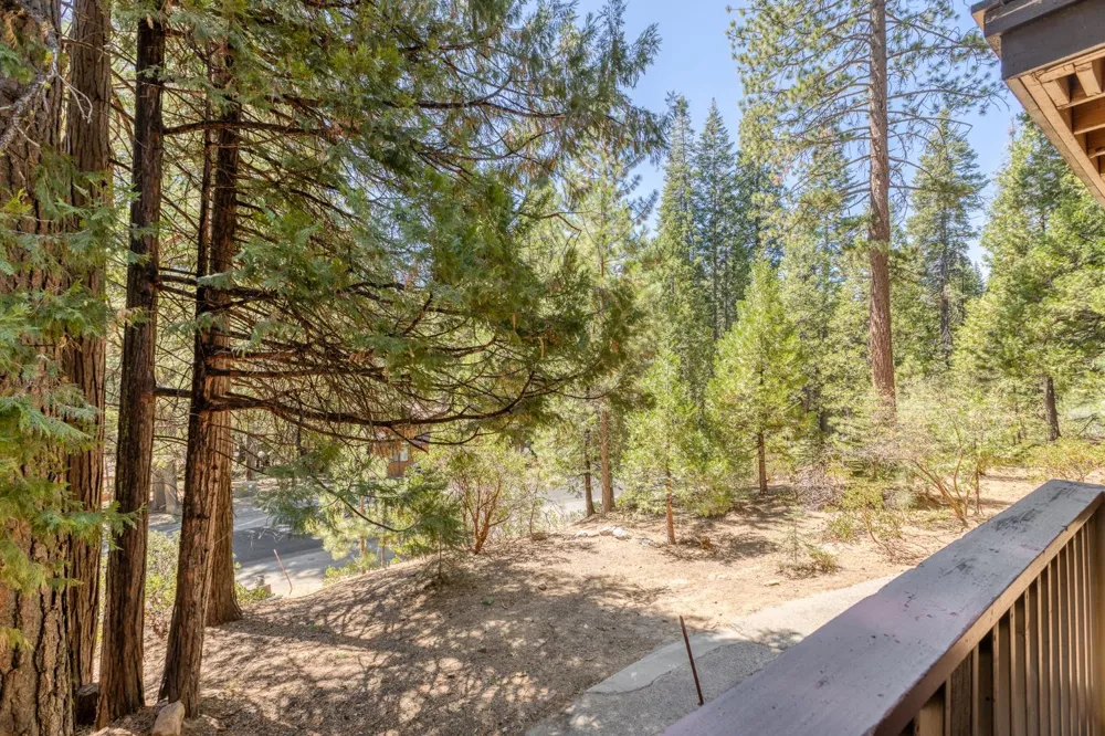 40922 Mill Run Lane Shaver Lake, CA 93664