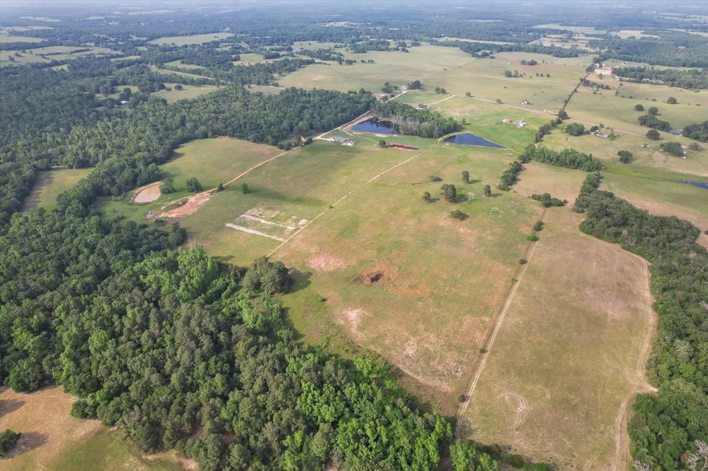 2711 An County Road 2301 Tennessee Colony, TX 75861
