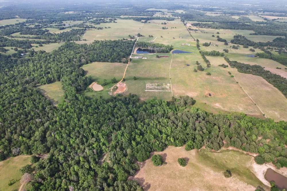 2711 An County Road 2301 Tennessee Colony, TX 75861