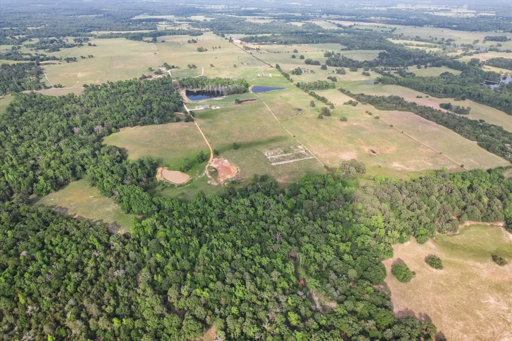 2711 An County Road 2301 Tennessee Colony, TX 75861