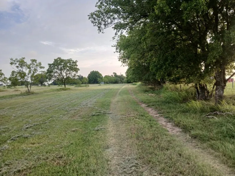 2985 County Road 426 Thrall, TX 76578