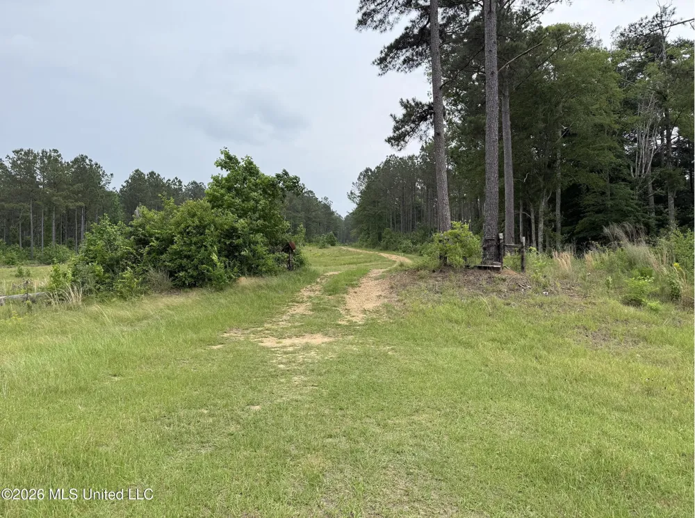 000 Furrs Mill Dr Ne Drive Wesson, MS 39191