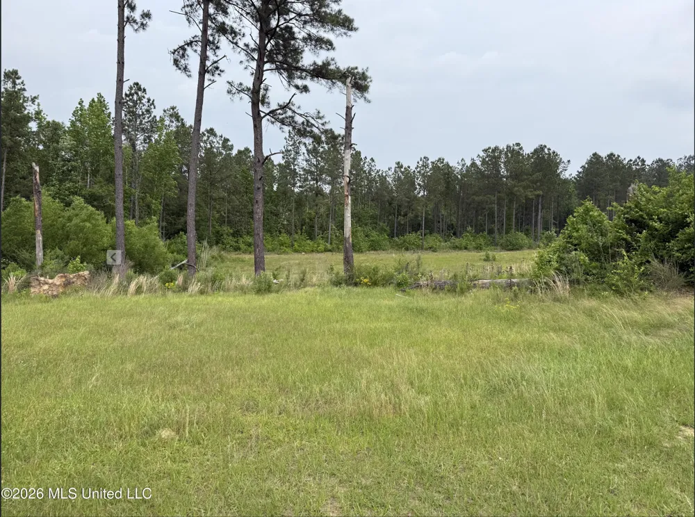 000 Furrs Mill Dr Ne Drive Wesson, MS 39191